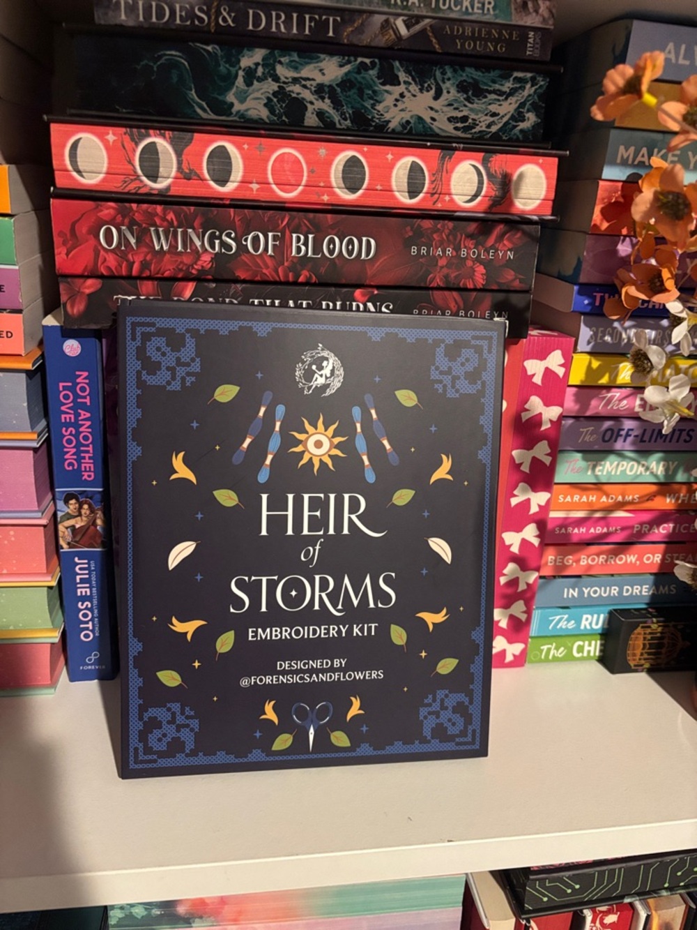 Heir of Storms Embroidery Kit